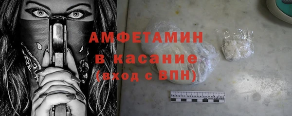 индика Аркадак