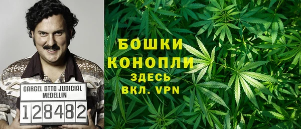 стаф Нефтегорск