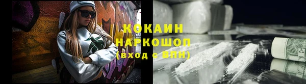 индика Аркадак